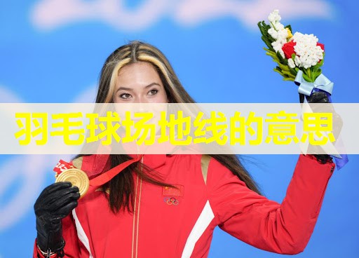 羽毛球场地线的意思