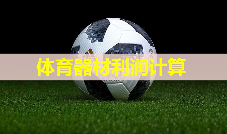 体育器材利润计算