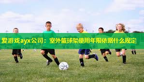 爱游戏ayx公司：室外篮球架使用年限依据什么规定