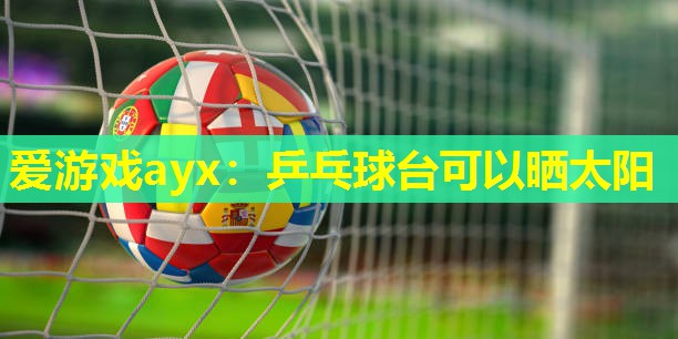 爱游戏ayx：乒乓球台可以晒太阳