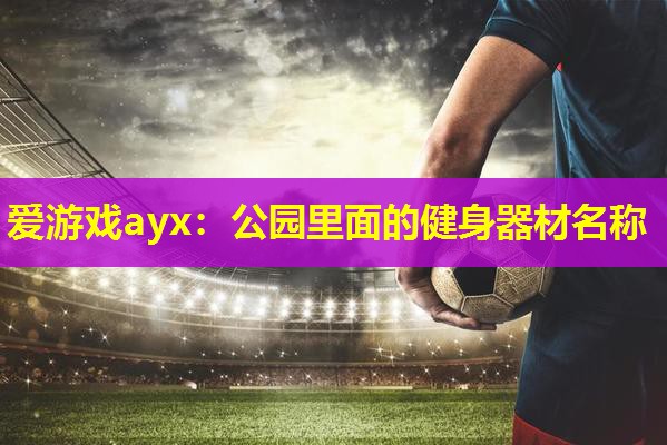 爱游戏ayx：公园里面的健身器材名称