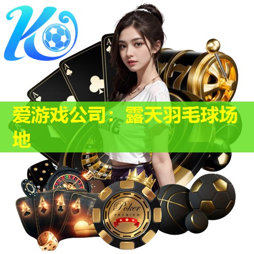 爱游戏公司：露天羽毛球场地