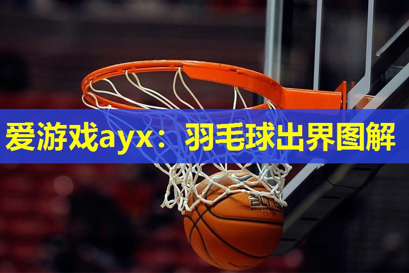 爱游戏ayx：羽毛球出界图解