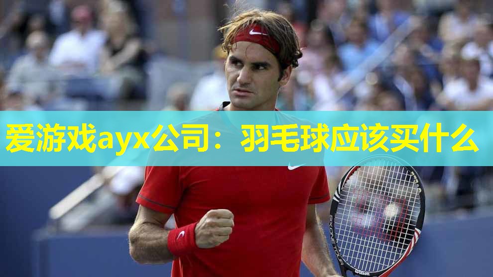 爱游戏ayx公司：羽毛球应该买什么