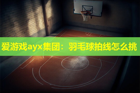 爱游戏ayx集团：羽毛球拍线怎么挑