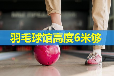 羽毛球馆高度6米够
