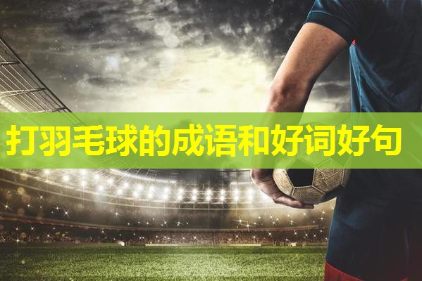 打羽毛球的成语和好词好句