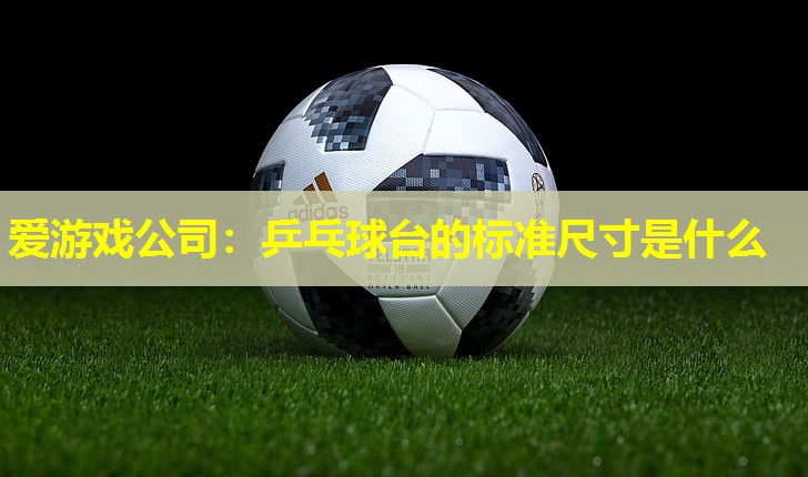 乒乓球台的标准尺寸是什么 乒乓球台的标准尺寸是什么