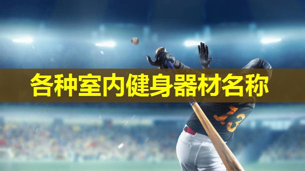 各种室内健身器材名称