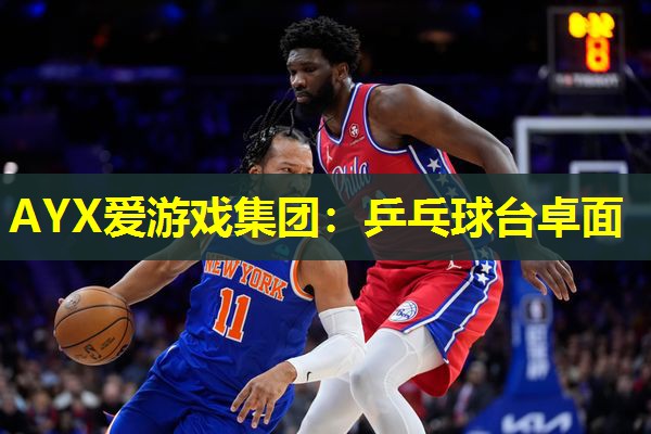 乒乓球台卓面 乒乓球台卓面