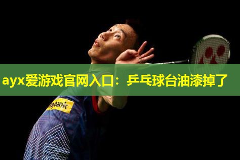 乒乓球台油漆掉了 乒乓球台油漆掉了