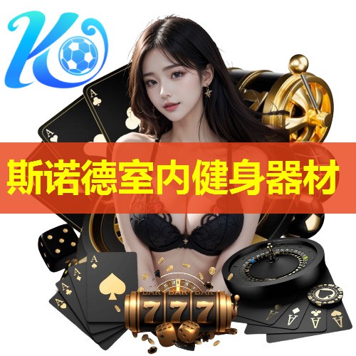斯诺德室内健身器材