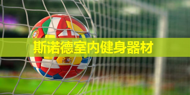 斯诺德室内健身器材
