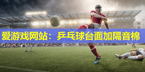 乒乓球台面加隔音棉 乒乓球台面加隔音棉