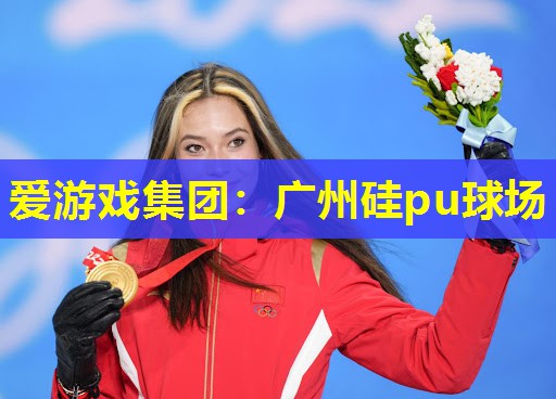 广州硅pu球场 广州硅pu球场