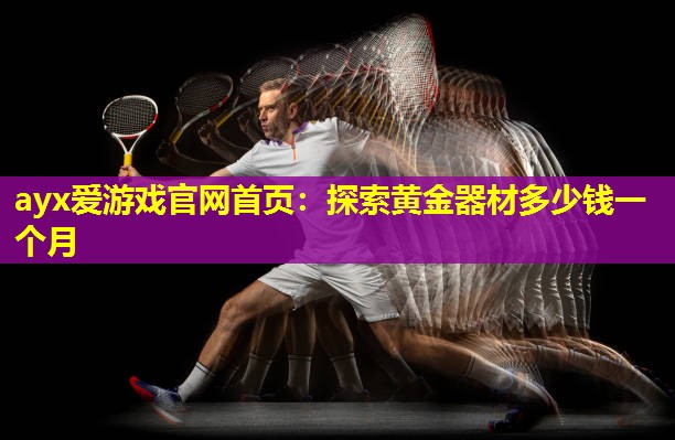 探索黄金器材多少钱一个月 探索黄金器材多少钱一个月