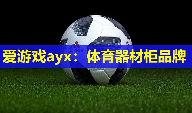体育器材柜品牌 体育器材柜品牌
