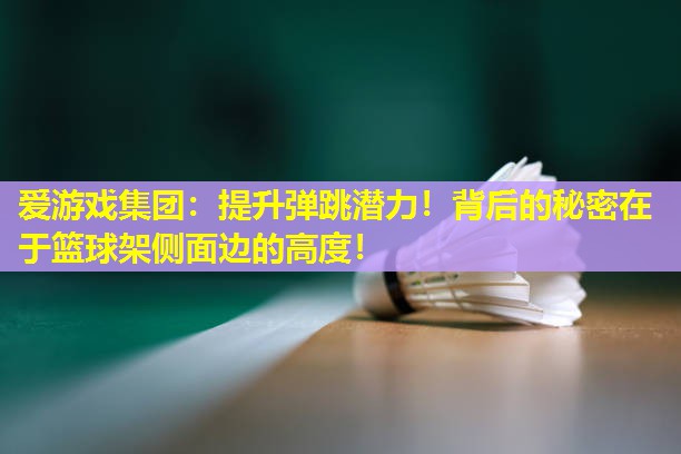 提升弹跳潜力!背后的秘密在于篮球架侧面边的高度! 提升弹跳潜力!背后的秘密在于篮球架侧面边的高度!