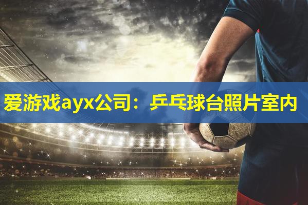 乒乓球台照片室内 乒乓球台照片室内