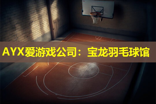 宝龙羽毛球馆 宝龙羽毛球馆