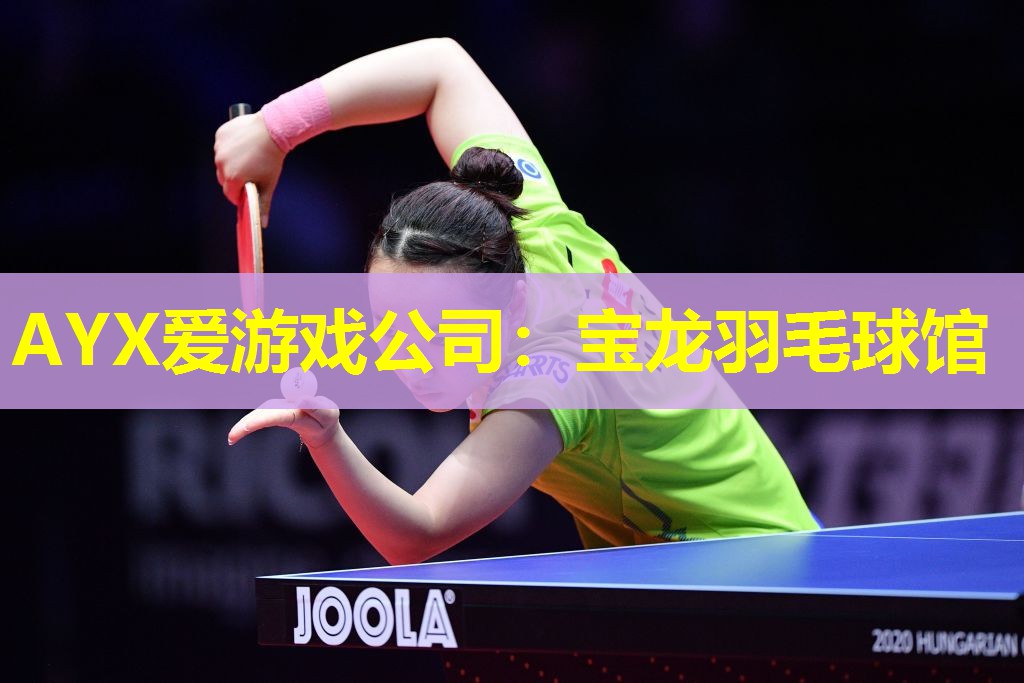 宝龙羽毛球馆 宝龙羽毛球馆