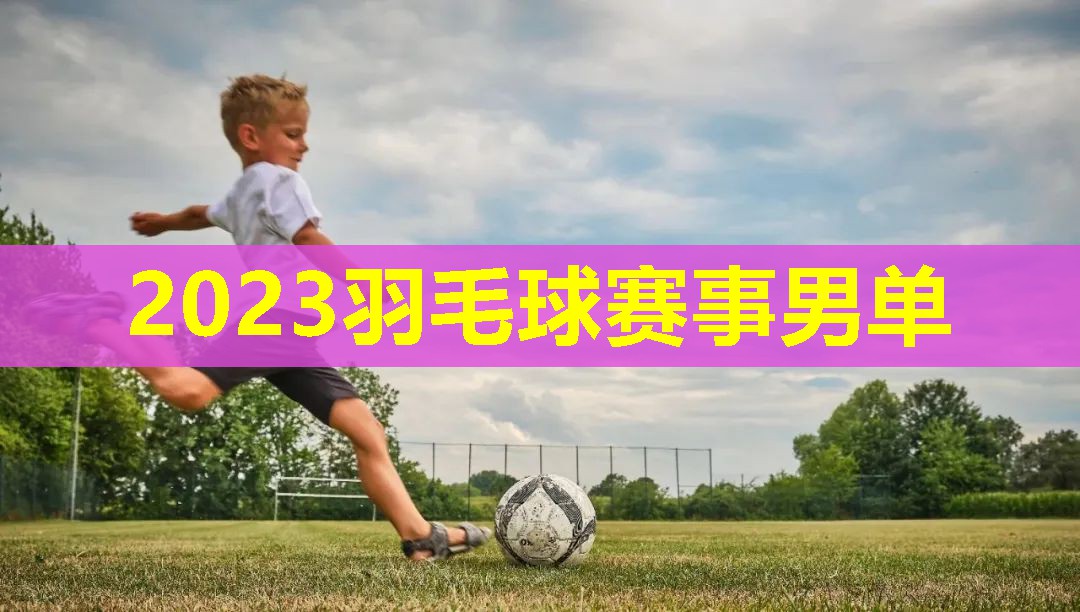 2023羽毛球赛事男单 2023羽毛球赛事男单