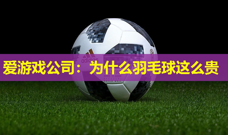 为什么羽毛球这么贵 为什么羽毛球这么贵