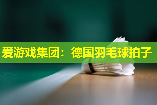 德国羽毛球拍子 德国羽毛球拍子