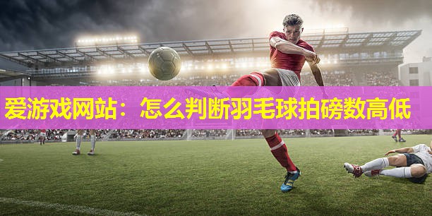怎么判断羽毛球拍磅数高低 怎么判断羽毛球拍磅数高低