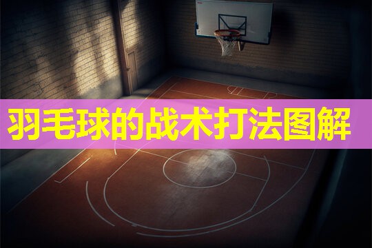 羽毛球的战术打法图解 羽毛球的战术打法图解