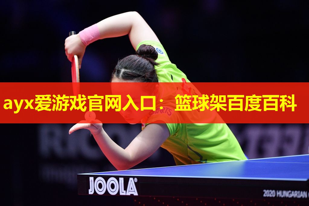 篮球架百度百科 篮球架百度百科