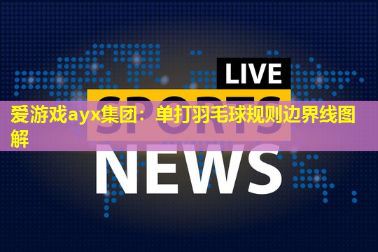 单打羽毛球规则边界线图解 单打羽毛球规则边界线图解