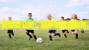 国际羽毛球联赛 国际羽毛球联赛