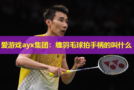 缠羽毛球拍手柄的叫什么 缠羽毛球拍手柄的叫什么
