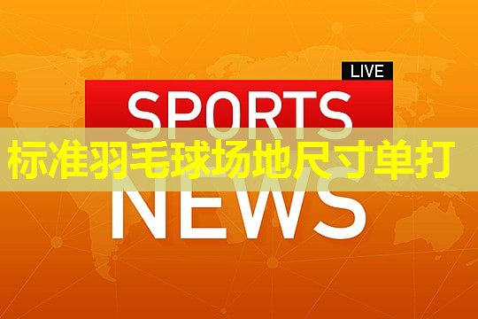 标准羽毛球场地尺寸单打 标准羽毛球场地尺寸单打