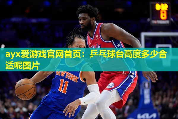 乒乓球台高度多少合适呢图片 乒乓球台高度多少合适呢图片