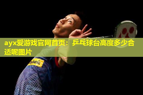 乒乓球台高度多少合适呢图片 乒乓球台高度多少合适呢图片