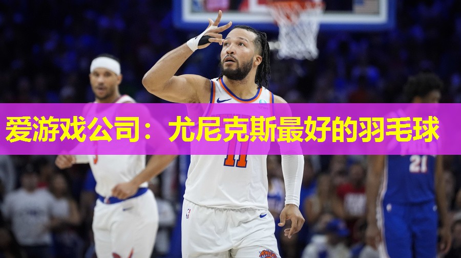 尤尼克斯最好的羽毛球 尤尼克斯最好的羽毛球