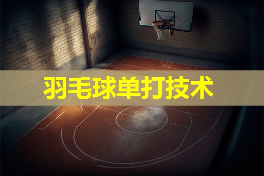 羽毛球单打技术 羽毛球单打技术