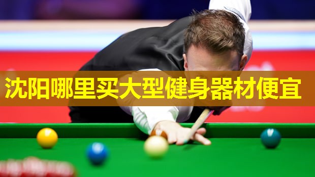 沈阳哪里买大型健身器材便宜 沈阳哪里买大型健身器材便宜