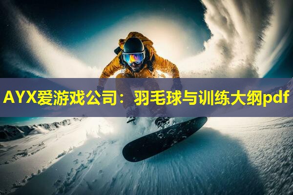 羽毛球与训练大纲pdf 羽毛球与训练大纲pdf