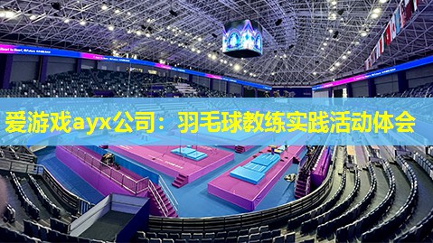羽毛球教练实践活动体会 羽毛球教练实践活动体会