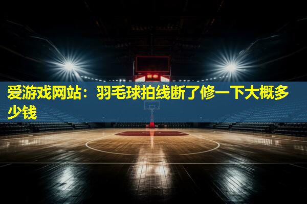 羽毛球拍线断了修一下大概多少钱