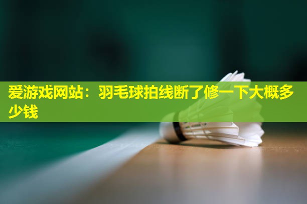 羽毛球拍线断了修一下大概多少钱