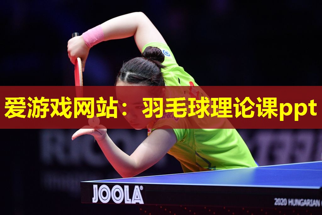 羽毛球理论课ppt 羽毛球理论课ppt