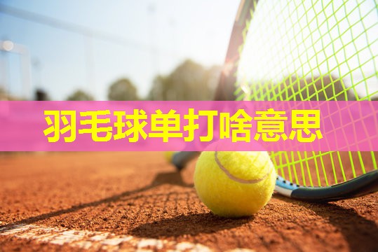 羽毛球单打啥意思 羽毛球单打啥意思