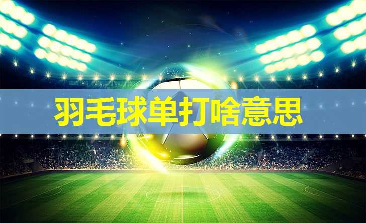 羽毛球单打啥意思 羽毛球单打啥意思