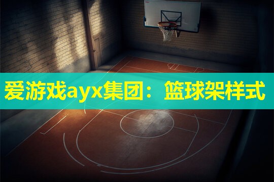 篮球架样式 篮球架样式