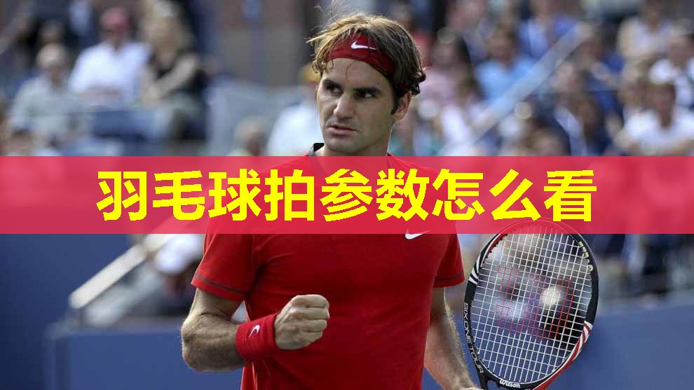 羽毛球拍参数怎么看 羽毛球拍参数怎么看