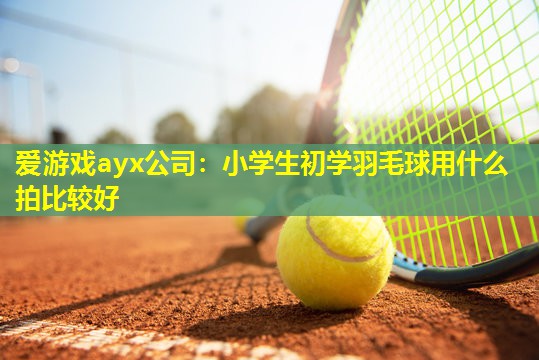 小学生初学羽毛球用什么拍比较好 小学生初学羽毛球用什么拍比较好